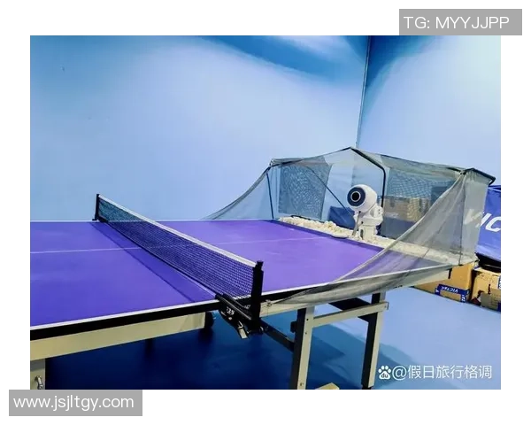 张芳独家分享乒乓球技巧与心得助你提升球技的全方位指南